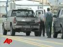 Black Bear Center Of Police Stakeout