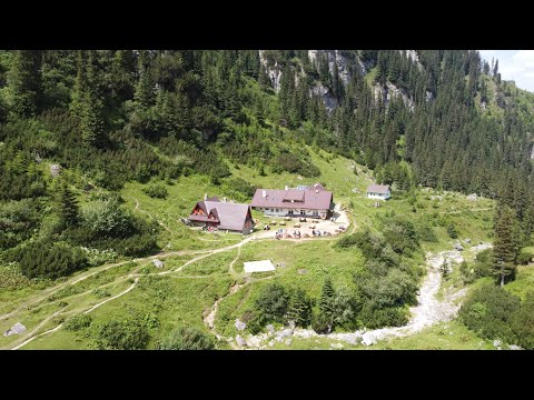 CABANA MALAIESTI prin VALEA GLAJERIEI, Munții Bucegi, Traseu Cabana Mălăiești, România 4K DRONA