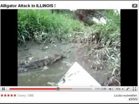 Duck Sauce - Ale urwał Forfiter na 18tce