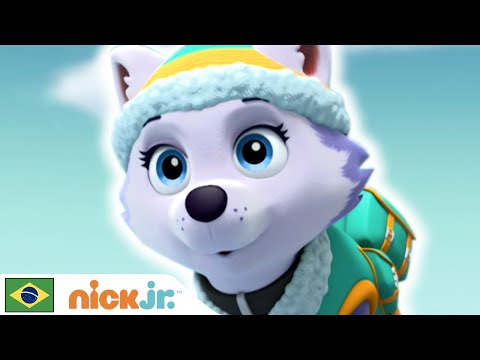 Capa de Patrulha Canina | Patrulha Canina Salva um Passageiro Perdido | Nick Jr. em Português