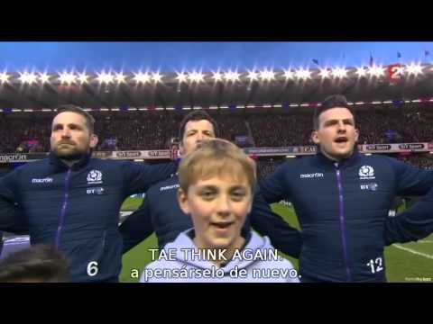 Flor de Escocia subtitulado Scotland vs England 6 Nations at Murrayfield 06 02 2016