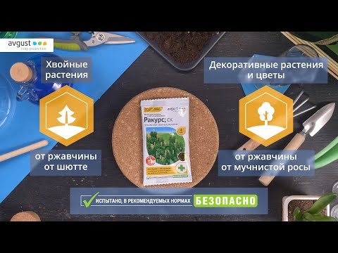 Миниатюра изображения товара Фунгицид Avgust Ракурс Профи (500мл)