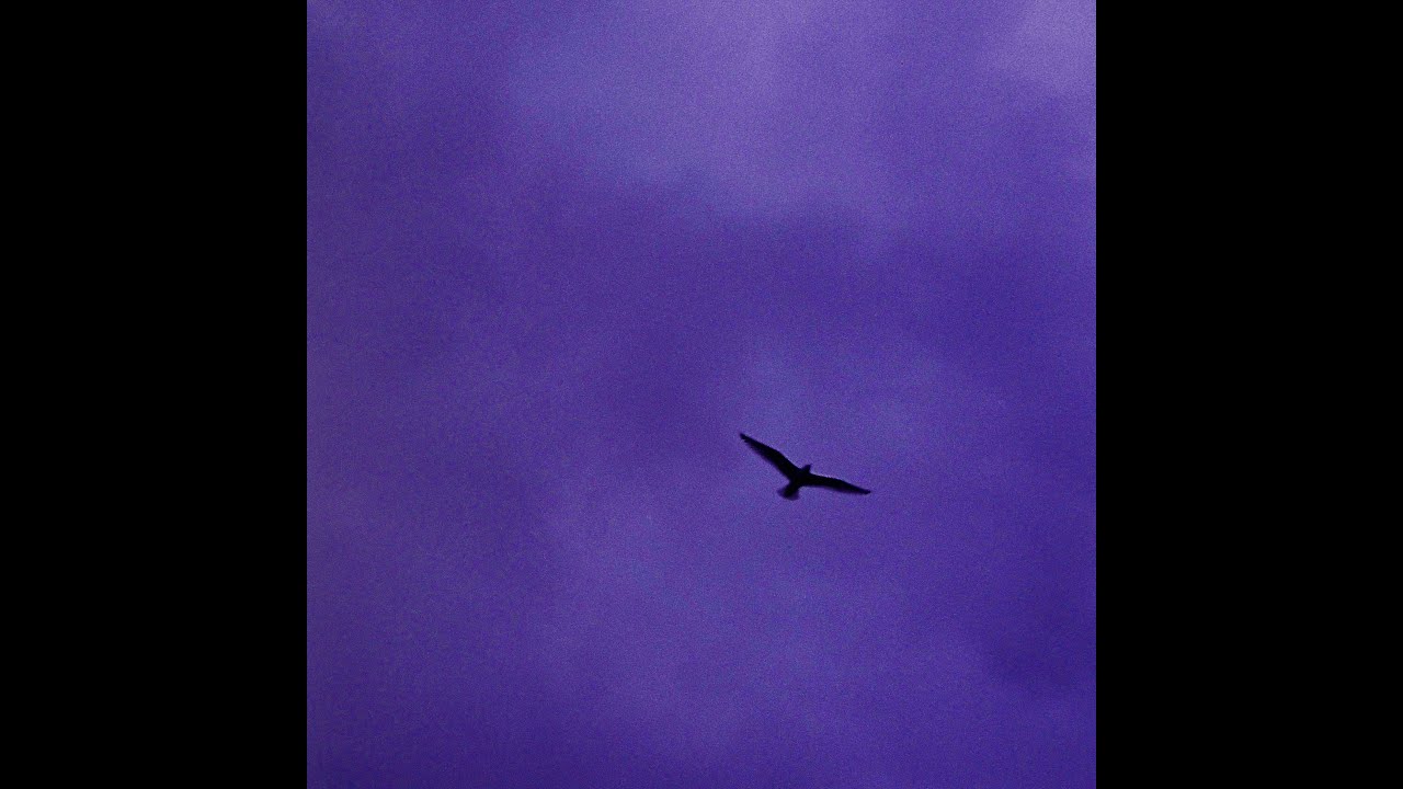 Bialystocks - 言伝【Official Audio】