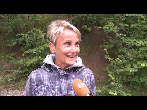 Jihočeská televize - Okénko z měst a obcí - Hořice na Šumavě