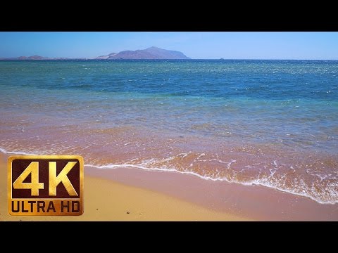 The Red Sea Views - 4K Ultra HD. Egypt. Trailer