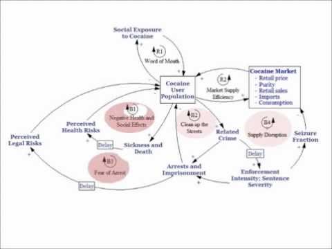 The War On Drugs System