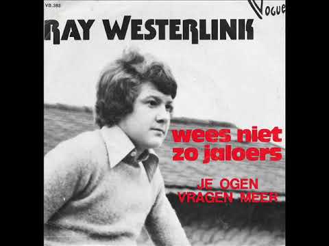 Wees niet zo jaloers // Ray Westerlink.