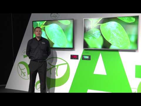 Panasonic Convention 2013  - Viera Evolving Energy Efficiency