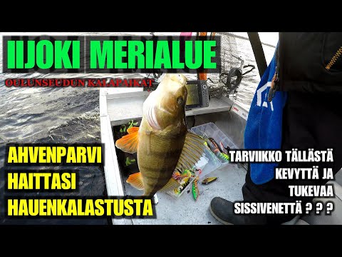AHVENEN SYYSKALASTUSTA - Iijoki suistossa / merialueella ( Tiura Fränkster jigailuvavan kokemuksia )