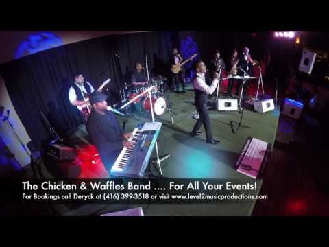The Chicken & Waffles Band @ The Bellvue Manor Event Venue  - Vibe 2