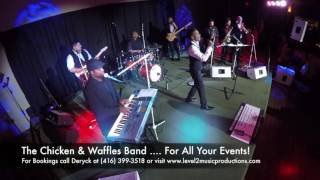The Chicken & Waffles Band @ The Bellvue Manor Event Venue  - Vibe 2