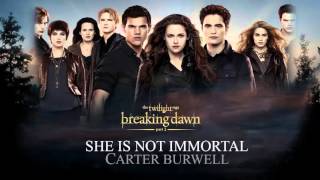 She Is Not Immortal- Carter Burwell (Breaking Dawn part 2 The Score)