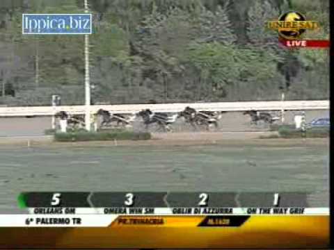 Premio Trinacria 2012 -Odino Jet