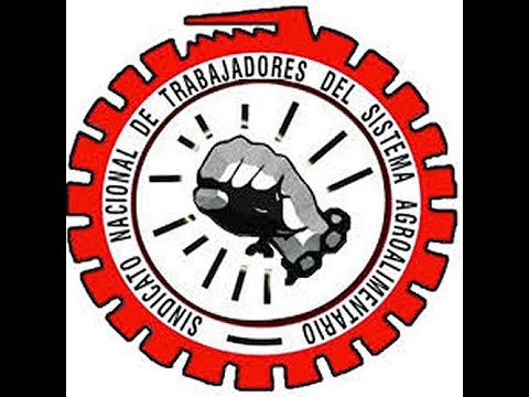 SINDICALISMO : Caso Sinaltrainal
