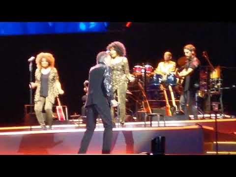 download lagu mp3 mp4 Neil Diamond Band, download lagu Neil Diamond Band gratis, unduh video klip Neil Diamond Band