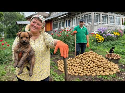 Potato Lovers Village Feast - Sausage, Chips & Rustic Meals