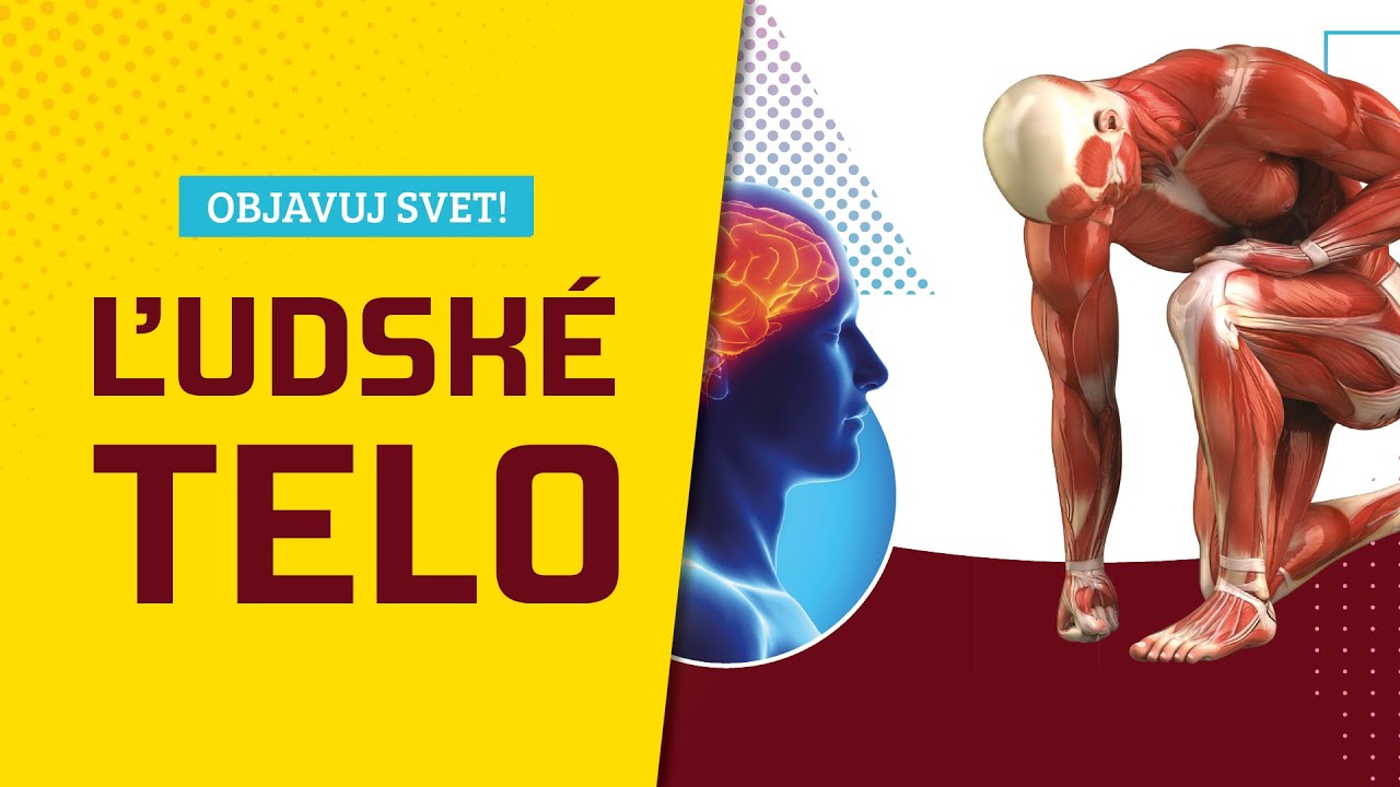 Ľudské telo - Albi Science