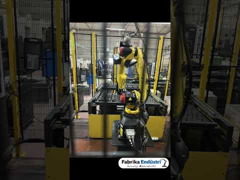 Video 3