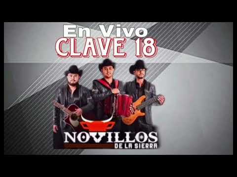 Clave 18 Novillos De La Sierra ( En Vivo)