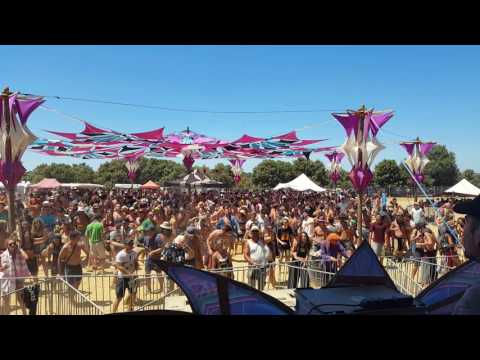 Sunday afternoon at Son Libre festival  (France )