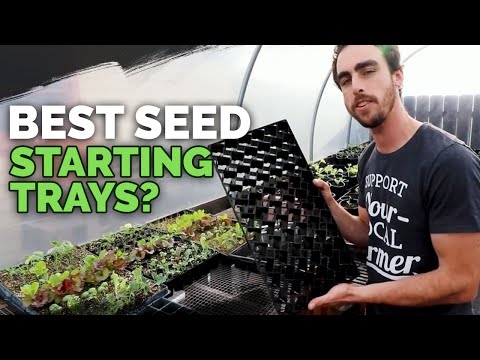 Best Seedling Trays: Soil Blocks, Winstrip, and Plug Trays Compared