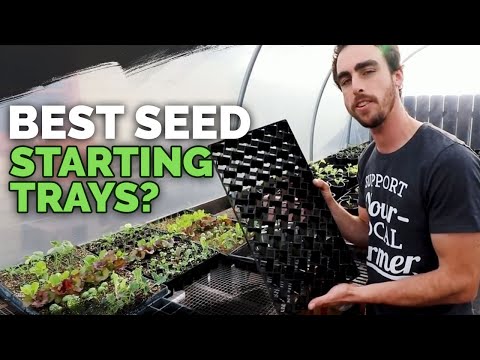 How to Transplant Seedlings My High Density Method