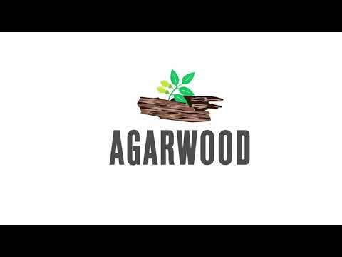 Agarwood Production