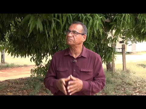 Potencial do Estado do Piauí para a produção de manga 05 11 2022