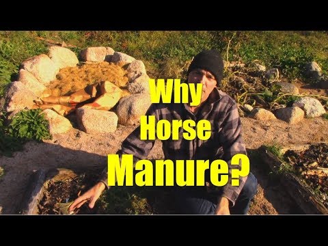 YouTube video about: Where can I buy horse manure?