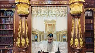הרב מאיר דוד שמואלי - האוצר היומי סדר יא'