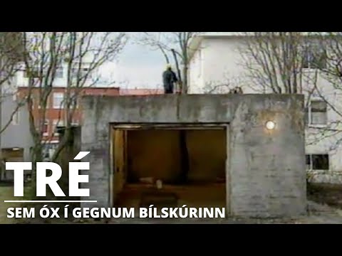 Ísland árið 1994 - Tré sem óx í gegnum bílskúrsþak í Reykjavík