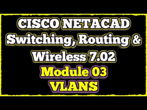 NETACAD Switching, Routing, and Wireless Essentials 7.02, 📡 Module 3: VLAN's