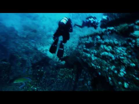 Goliath Grouper Epic Dive Music Video
