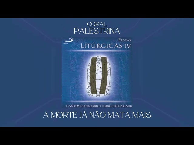 Preview do vídeo