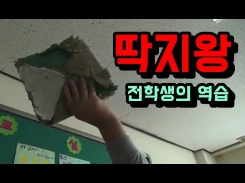 아이콘