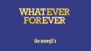 Whatever Forever - The Mowgli's lyrics
