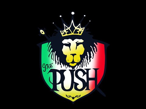 Physical Thing - The Push Reggae Band feat Natty Ras