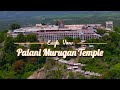 Palani Murugan Temple Whatsapp Status