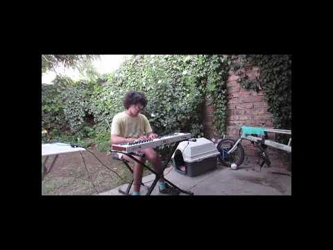 autismo fl sutdio cuarentena y llamita (luca vila)