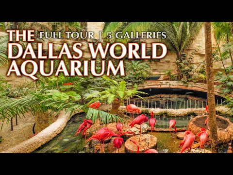 The Best & Worst “Aquarium” I’ve Been To | Full Tour & Review