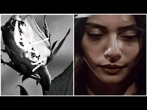 Sila Turkoglu podjelila jako tuzan story  💔 😥