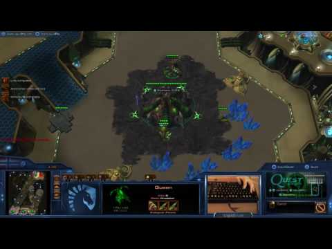 LiquidSnute ZvP (HOTS) Snute Host