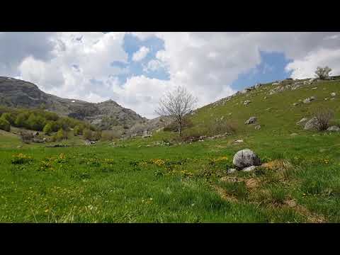 Studeni potok Umoljani 3