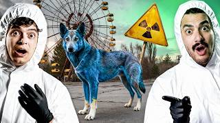 Os CÃES AZUIS de CHERNOBYL (Isso é REAL)