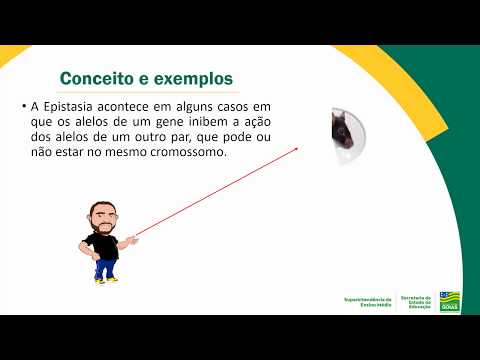 EPISTASIA | BIOLOGIA