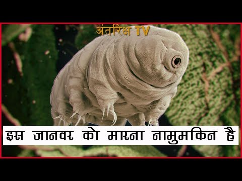 वैज्ञानिक कहते है ये जानवर है परग्रही | Scientist Says This Animal is an ancient Alien | AntarikshTV Video