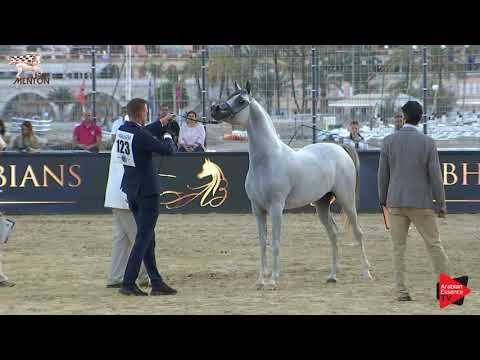 N.123 D MASHJI - Menton 2019