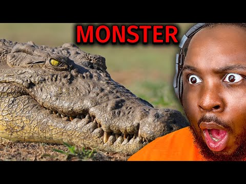 InternetCity LIVE! and InternetCity