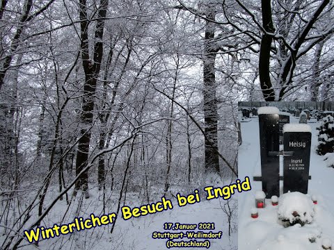Winterlicher Besuch bei Ingrid, 17.01.2021, Stuttgart-Weilimdorf (Deutschland)