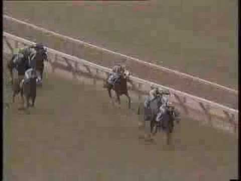 1985 Breeders' Cup Distaff